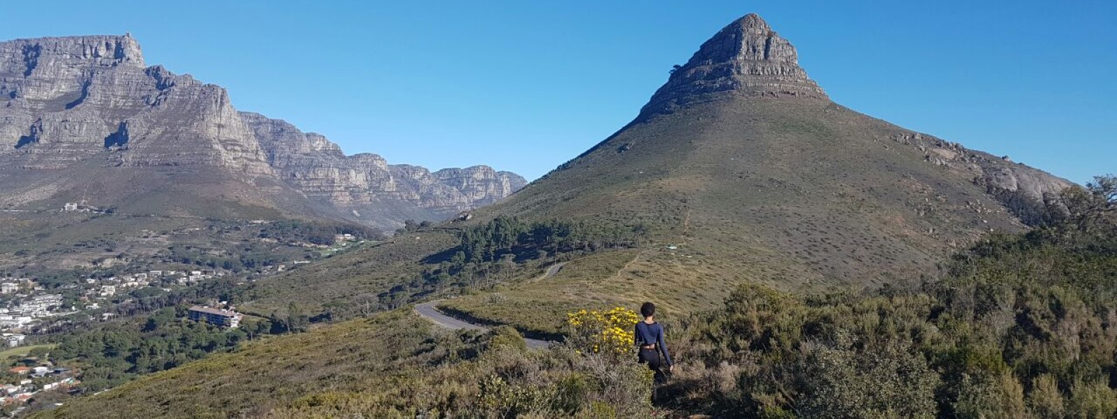 A student walks on a path toward the mountains.